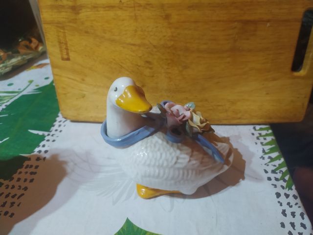 Figura pato