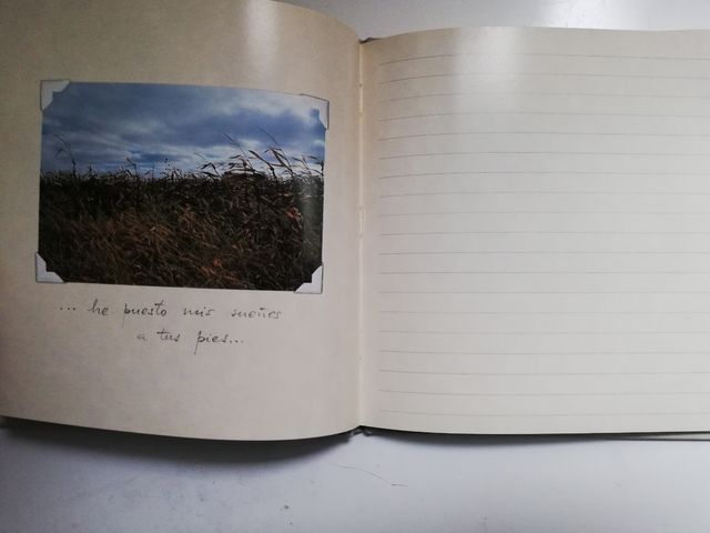 diario los puentes de madison