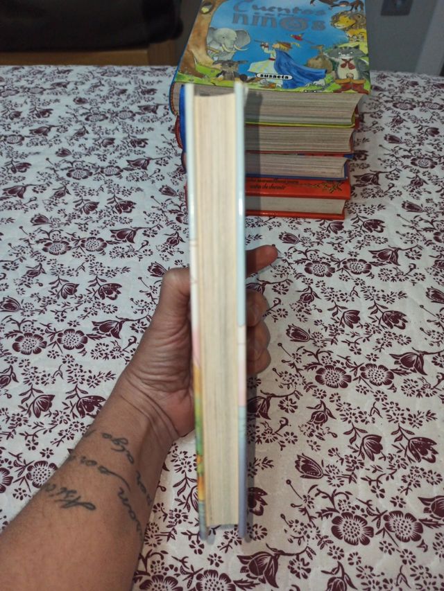 libro la isla del tesoro de Gerónimo Stilton