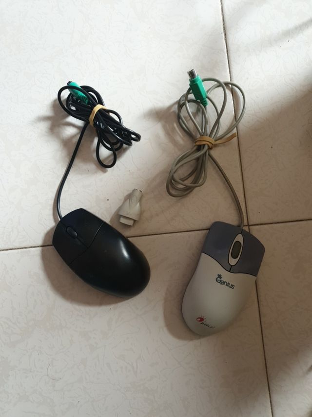 Ratones ordenador