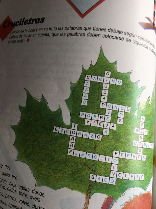 Solucionario de ejercicios deEl feo,el Bobo y el m