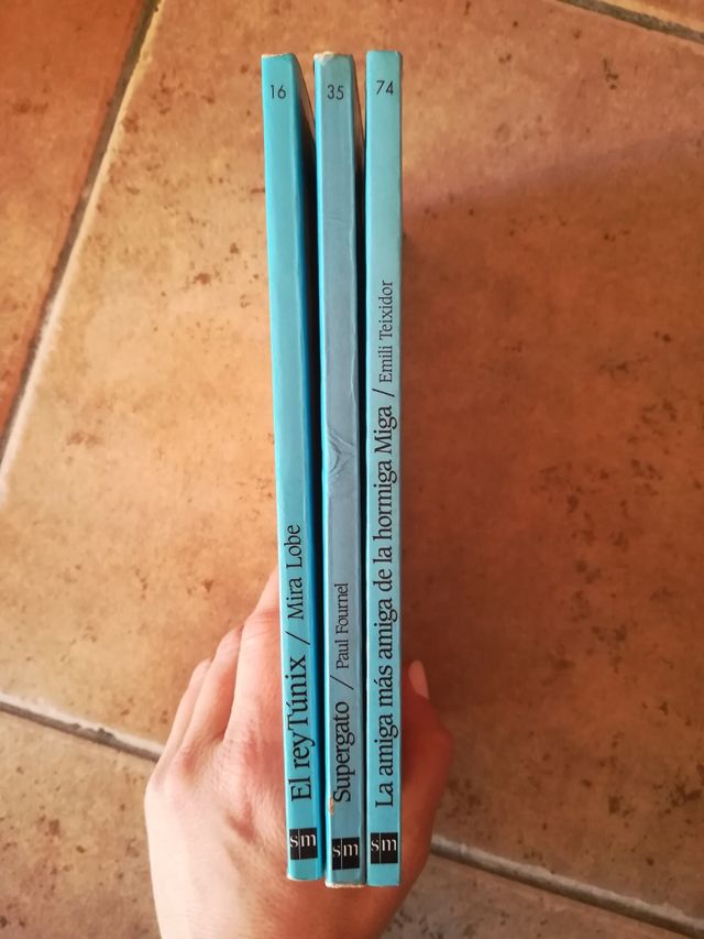 Libros de EL BARCO DE VAPOR, a partir de 7 años