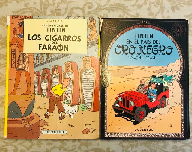 Lote libros TINTÍN