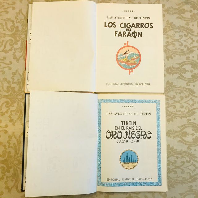 Lote libros TINTÍN