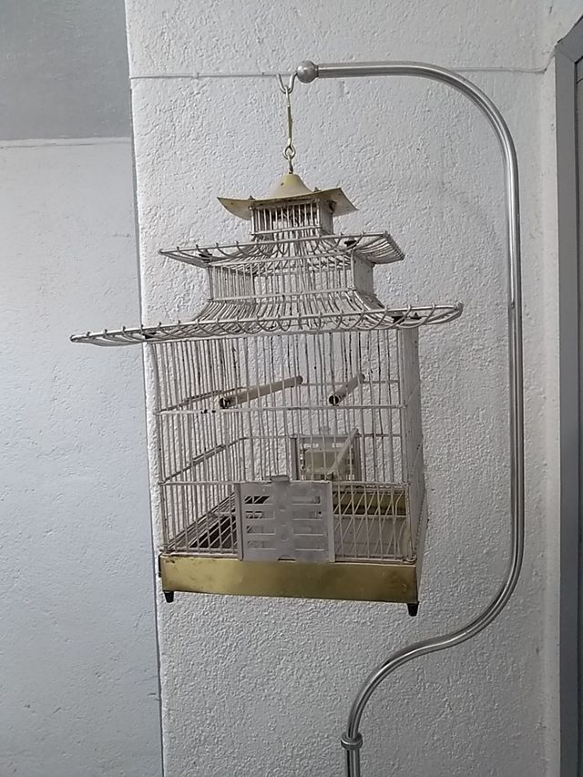 soporte y jaula para pajaros