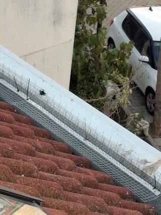 limpieza canalones reparación de tejados 640225567