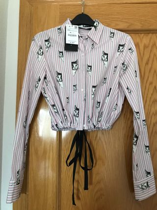 Camisa gatitos ZARA .A ESTRENAR!! de segunda mano por 18 EUR en Madrid en  WALLAPOP