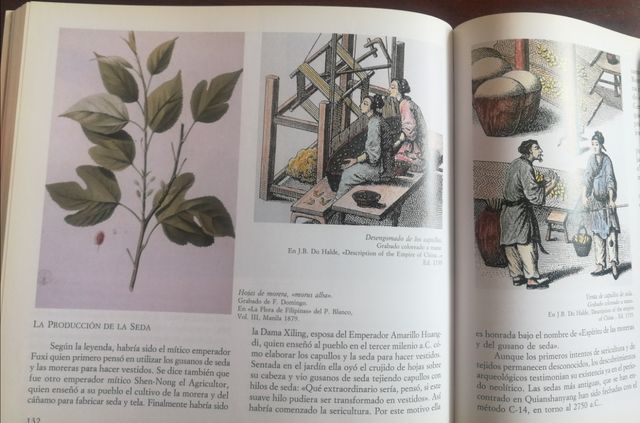 CATAY El Sueño de Colon