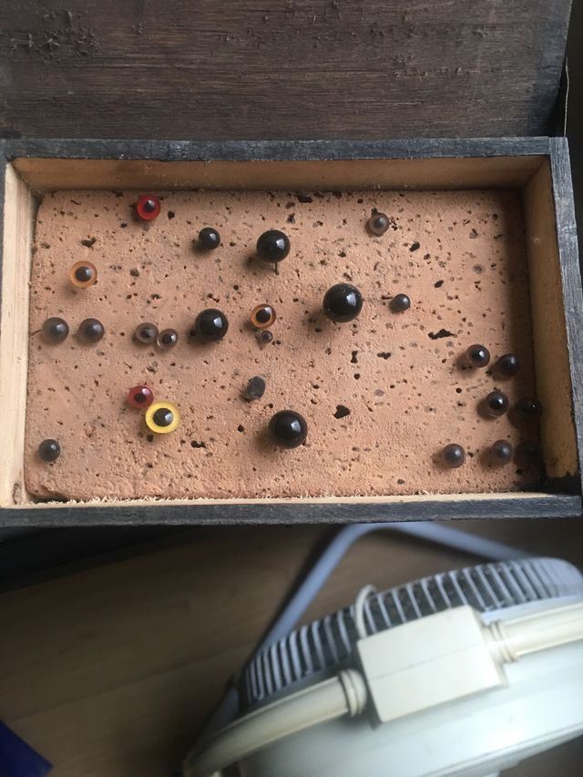 Colección ojos cristal