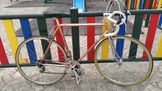 Bicicleta Zeleris de segunda mano por 180 EUR en San Fernando