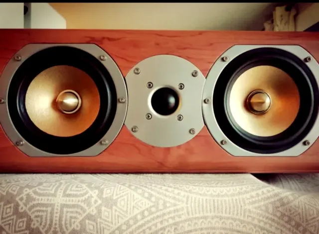 LIQUIDACIÓN HI END * PURE ACOUSTICS 250w Altavoz