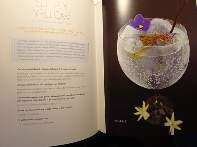 El ARTE del GIN TONIC de Miguel Angel Almodovar