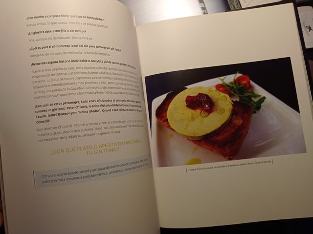 El ARTE del GIN TONIC de Miguel Angel Almodovar