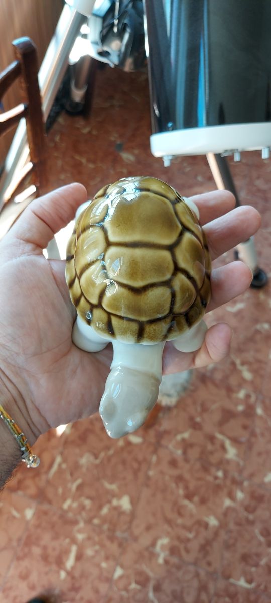Tortuga porcelana Vintage