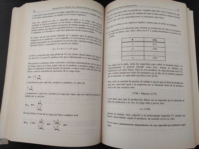 Organización y Gestión de la Producción