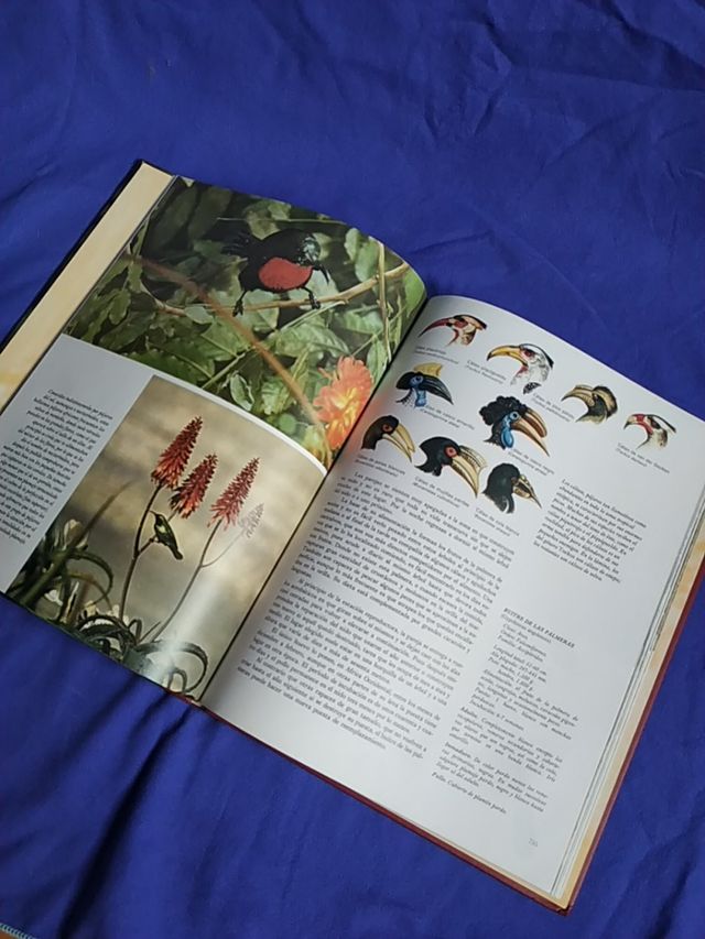 Enciclopedia Salvat de la Fauna Africana.