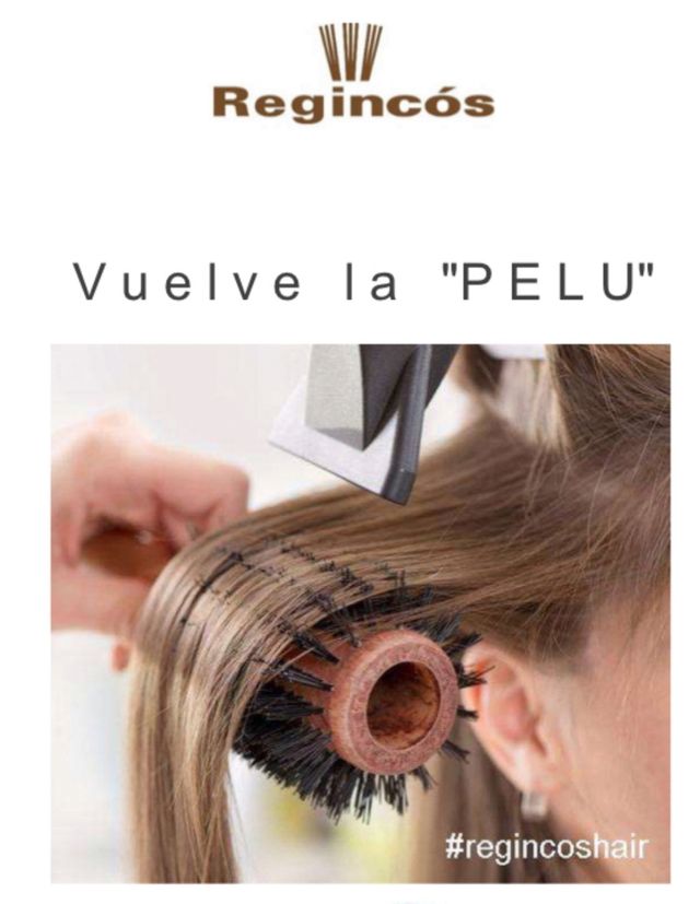 Regincos Colección Corcho, Set 5 Cepillos Uso Prof