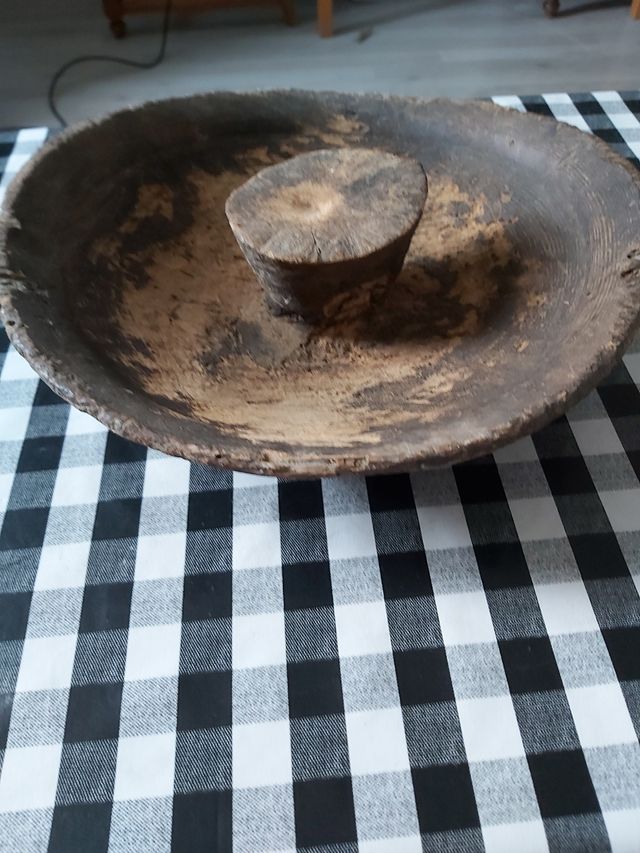 centro de tronco de árbol