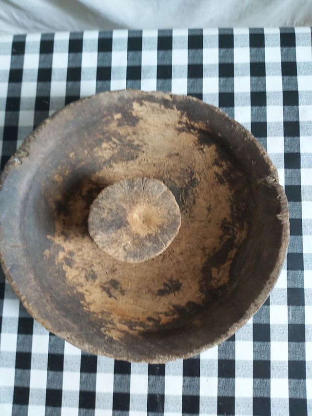 centro de tronco de árbol