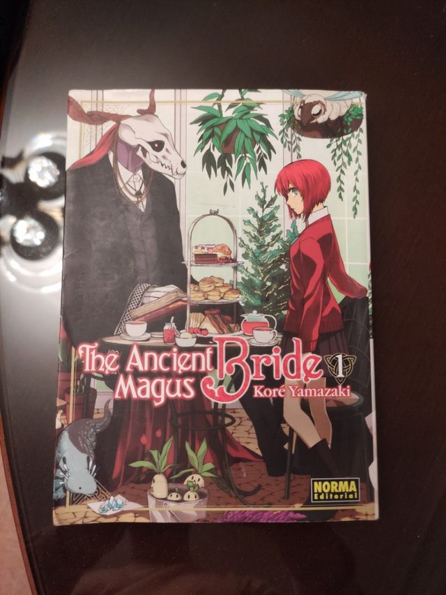 Manga the ancient magus bride