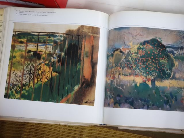 Libro Joaquín Mir 1975