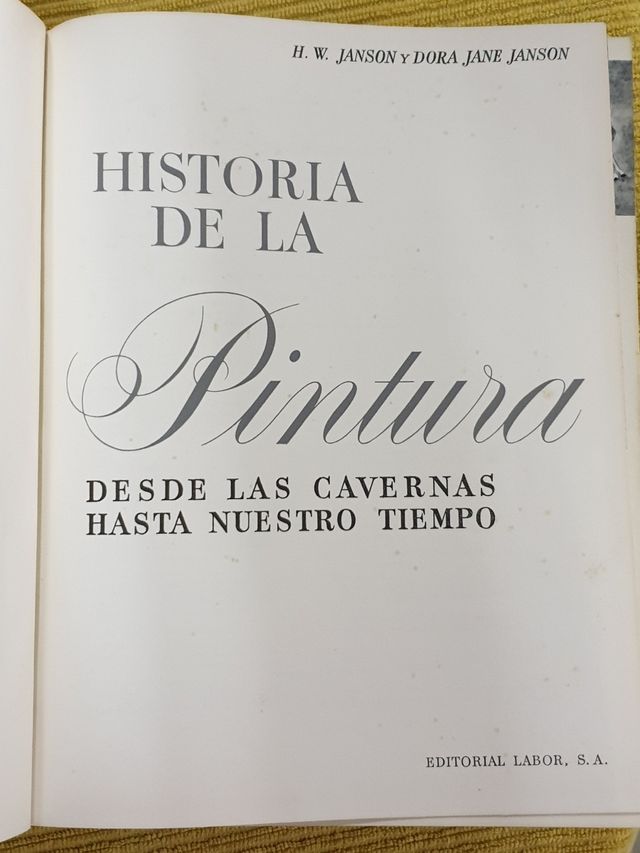 Libro di storia della pittura