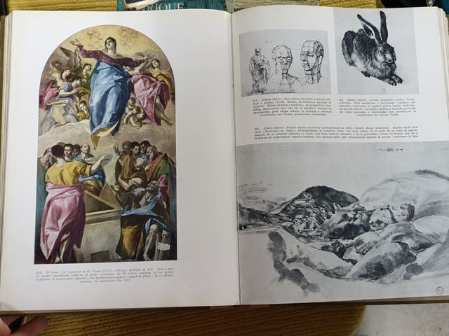 Libro di storia della pittura