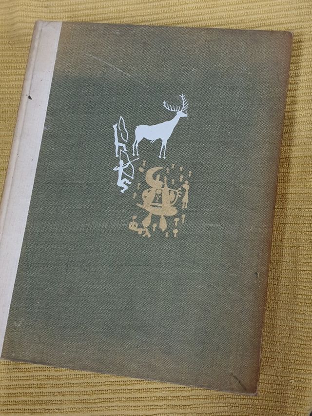 Libro di storia della pittura