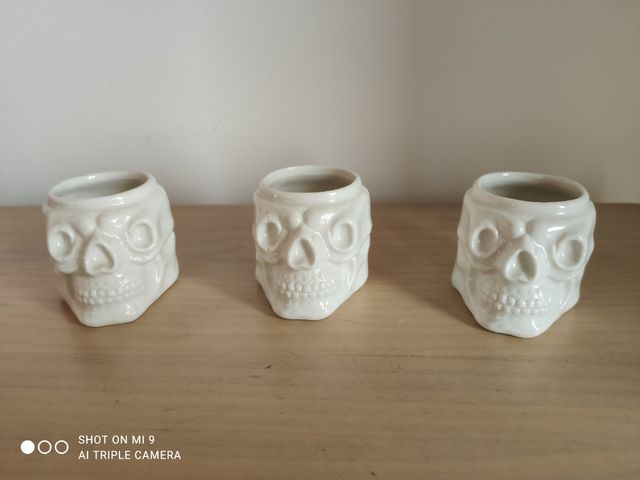 8 vasos de calavera