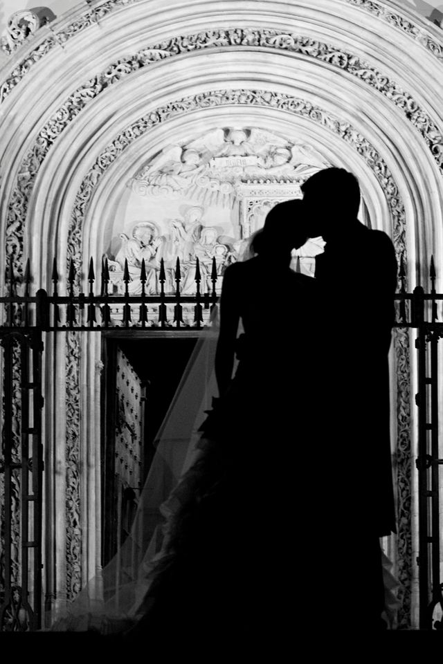 Fotógrafo Profesional