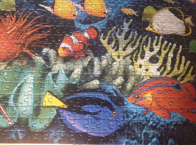 Puzzle 1000 Piezas 3D Dolphin Reef