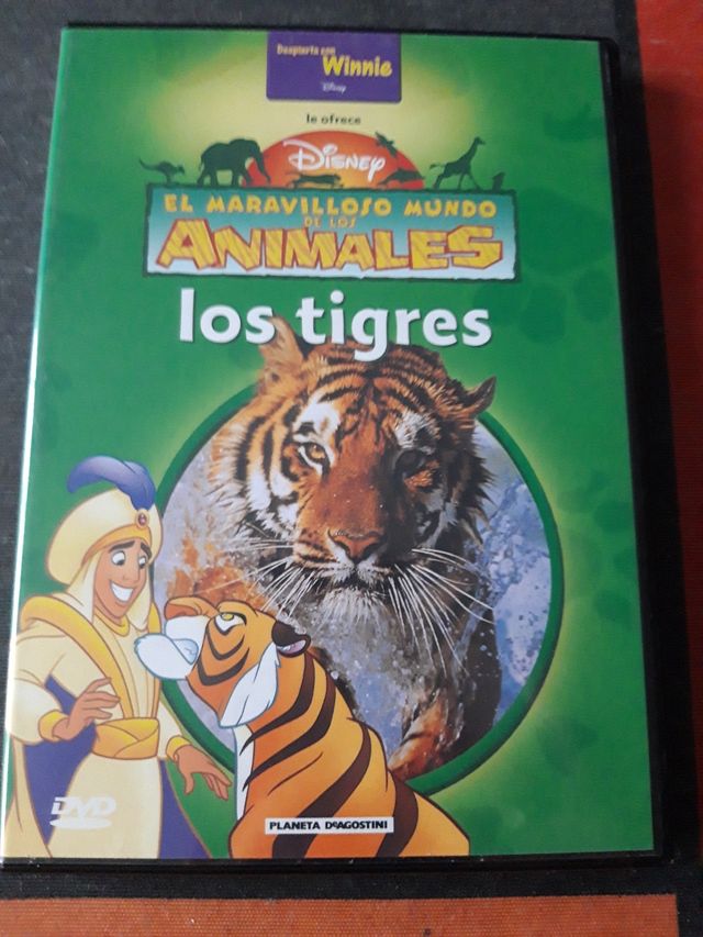 🔵 Il meraviglioso mondo degli animali