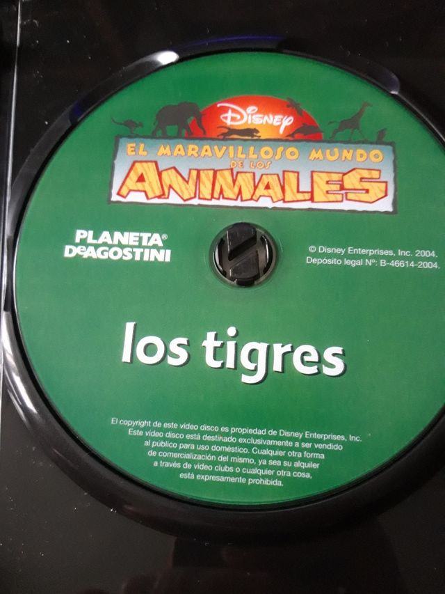 🔵 Il meraviglioso mondo degli animali