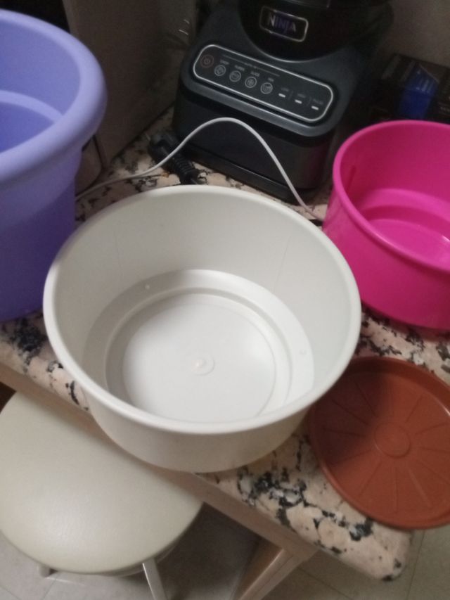 zuecos anatómicos piel