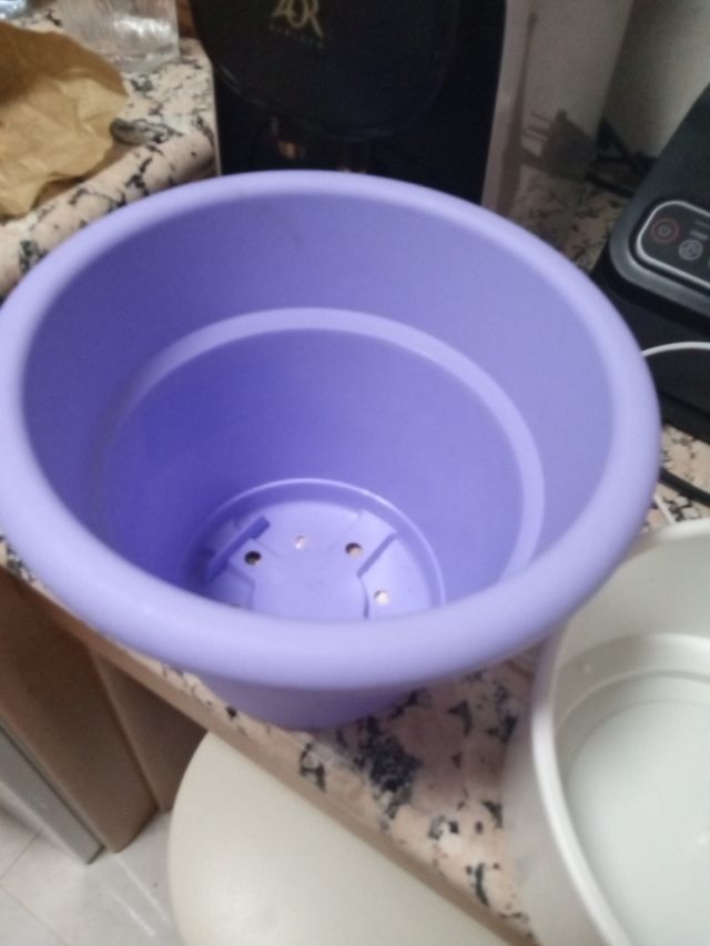 zuecos anatómicos piel