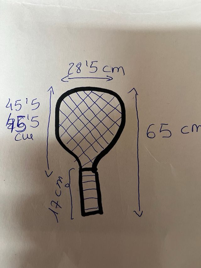 Raqueta tecnifibre. T-rebound