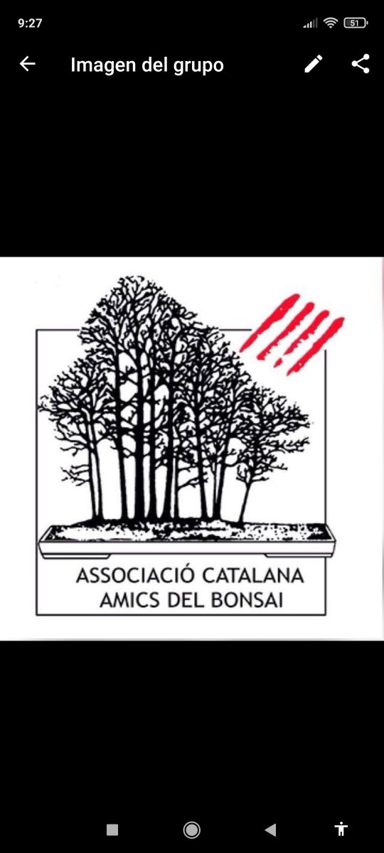 Septiembre 2026.Cursos de bonsai en L'Hospitalet