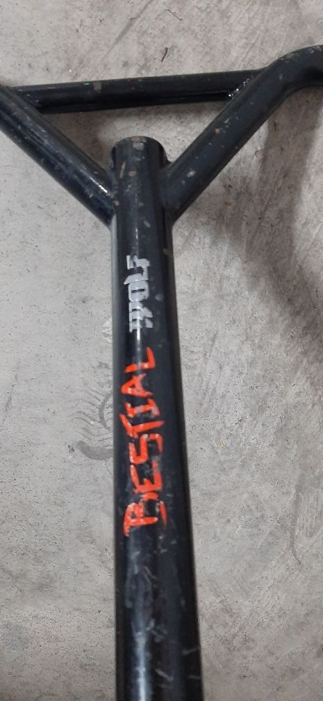 Patin skate park niña!!!!BOOSTER