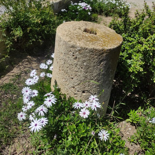 Piedra molino antigua