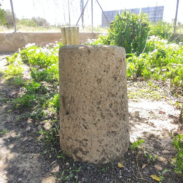 Piedra molino antigua