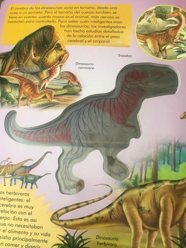 Libro dinosaurios. Pedagógico. 