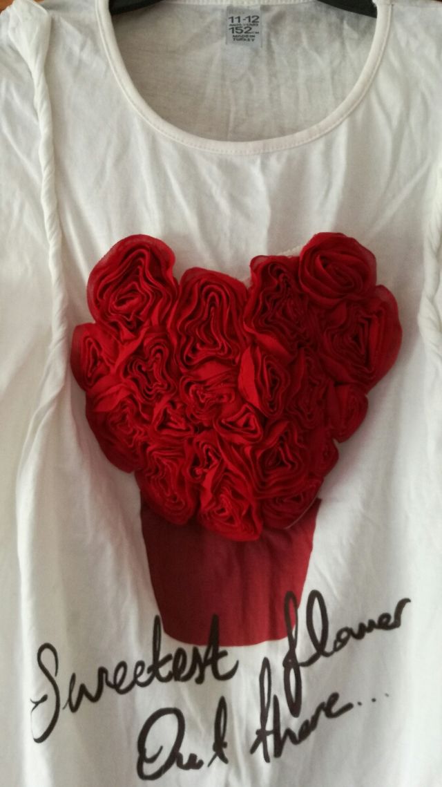 Camiseta m/c t.11-12