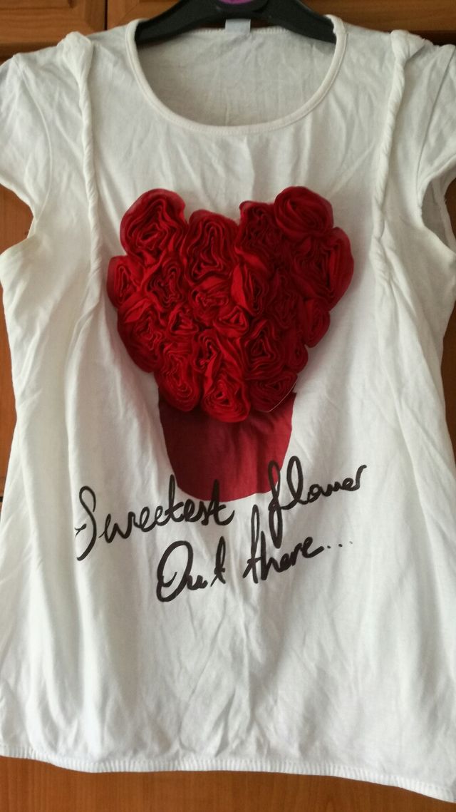 Camiseta m/c t.11-12