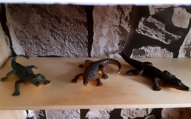 Coleccion de cocodrilos