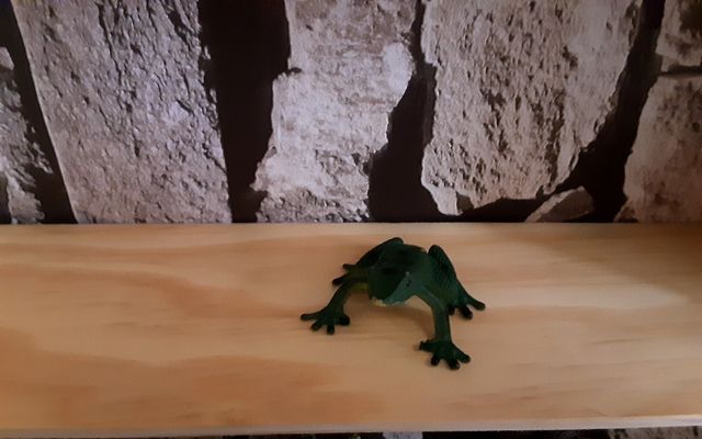 Coleccion de cocodrilos