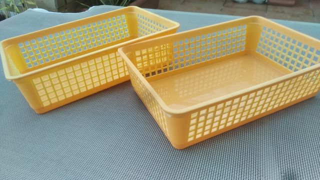 colador de cultivo para bonsais