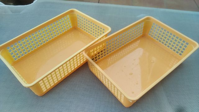 colador de cultivo para bonsais