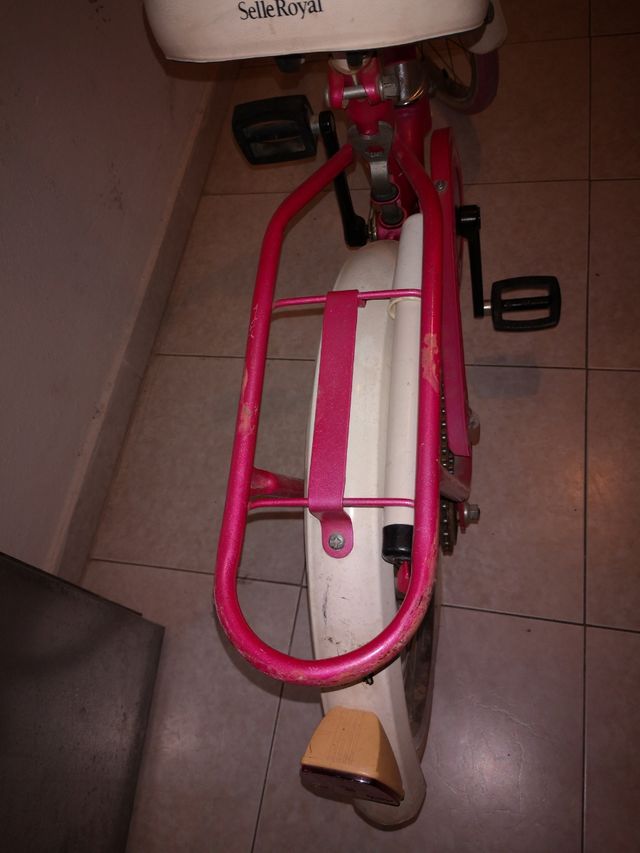 bicicleta niñ@ plegable