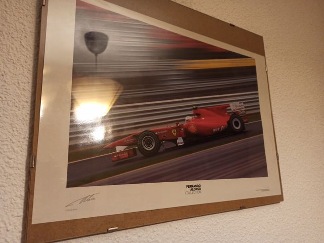 Cuadro Fernando Alonso Ferrari 2010 Fórmula 1