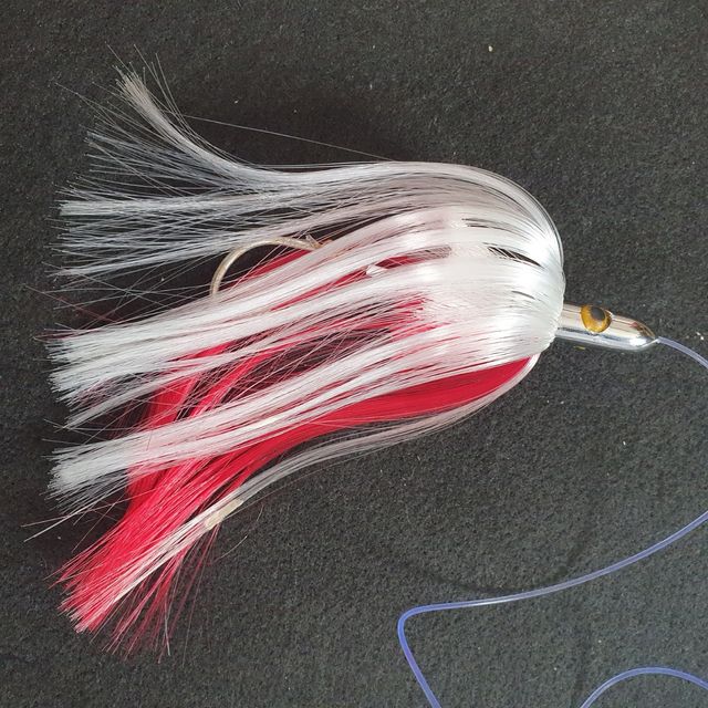 PLUMAS PESCA, CURRICAM,  ATÚN 